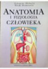 anatomia