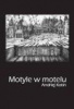 motyle_w_motelu